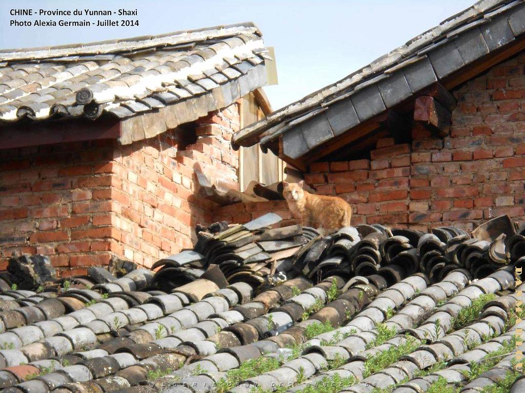 019 - Shaxi.JPG